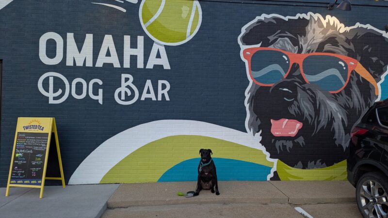 Omaha Dog Bar - Omaha, NE
