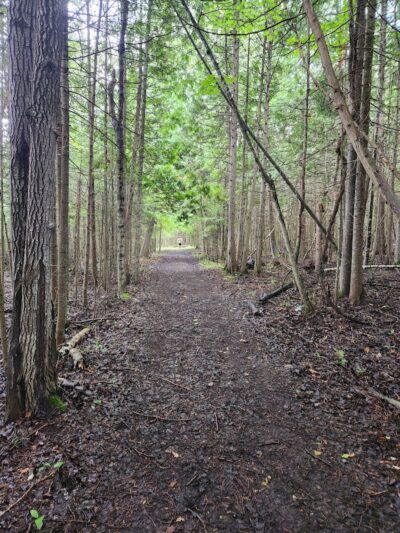 Onaway State Park - Onaway, MI