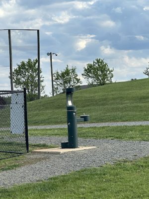 Skydog Orange Dog Park