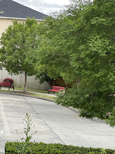 Public Dog Park