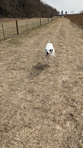 Anderson Farm County Dog Park