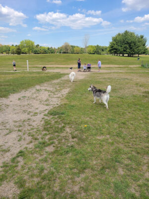Orion Oaks Dog Park