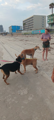 Dog-Friendly Beach Access Ormond Beach