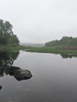 Town Of Orrington Park