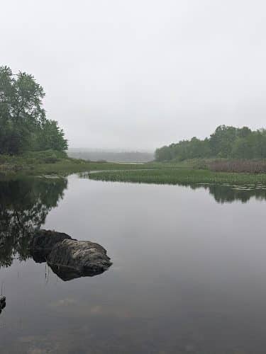 Town Of Orrington Park