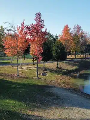 Osgood Trails - Osgood, IN