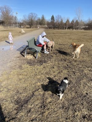 Best Friends Dog Park