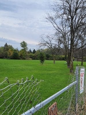 Best Friends Dog Park