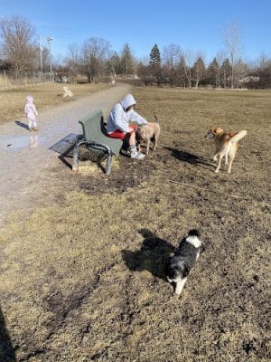 Best Friends Dog Park