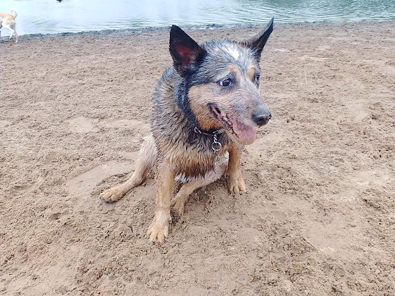 Best Friends Dog Park - Oshkosh, WI