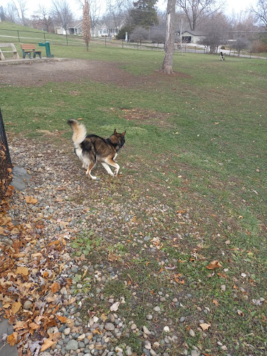 Oskaloosa Bark Park - Oskaloosa, IA