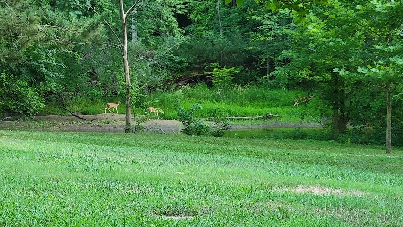 Harmon Patridge Park - Owosso, MI