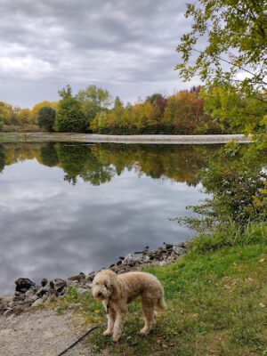 F.W. Kent Park
