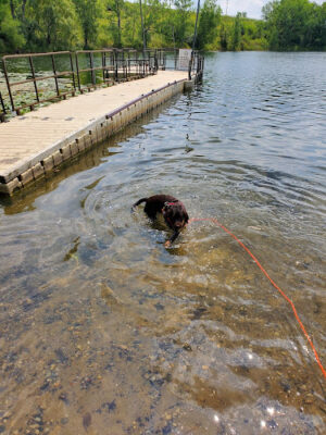 Stony Lake Park