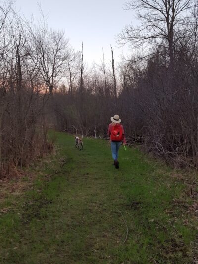 Oakwood Lake Township Park - Oxford, MI