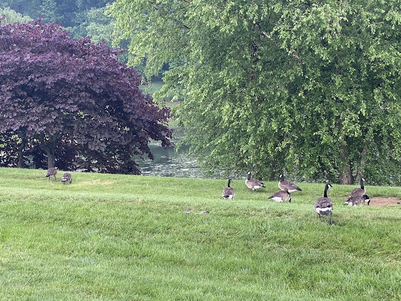 Betty Blume Park - Oxon Hill, MD