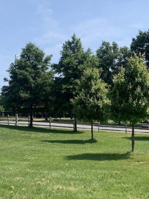 Birchwood City Recreation Area