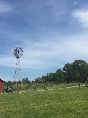 Oxon Cove Park & Oxon Hill Farm