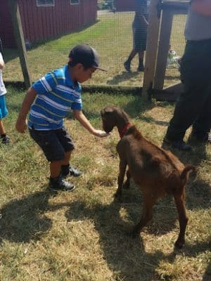 Oxon Cove Park & Oxon Hill Farm