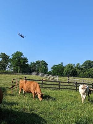 Oxon Cove Park & Oxon Hill Farm