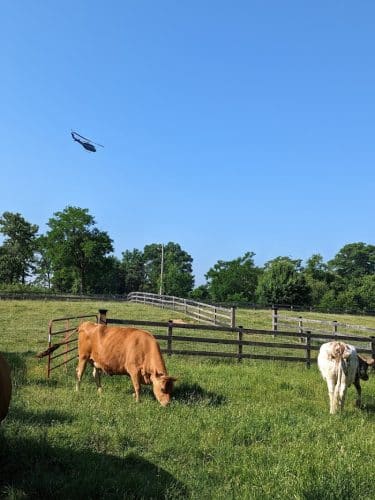 Oxon Cove Park & Oxon Hill Farm