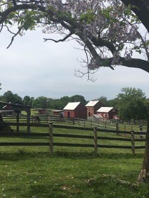 Oxon Cove Park & Oxon Hill Farm
