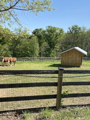 Oxon Cove Park & Oxon Hill Farm