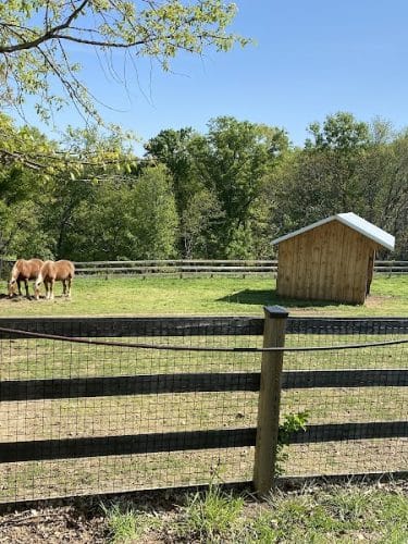 Oxon Cove Park & Oxon Hill Farm