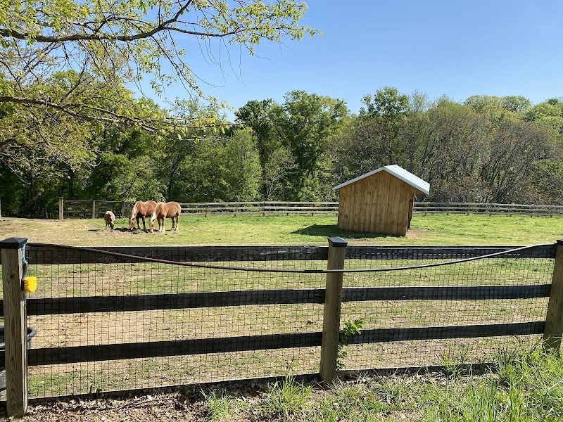 Oxon Cove Park & Oxon Hill Farm - Oxon Hill, MD