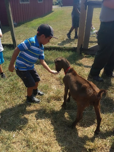 Oxon Cove Park & Oxon Hill Farm
