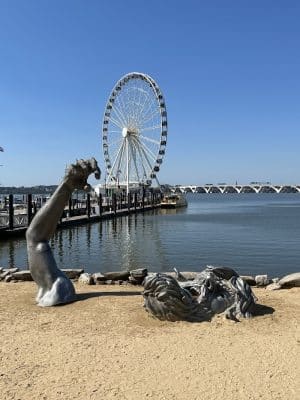 Potomac River Waterfront Park