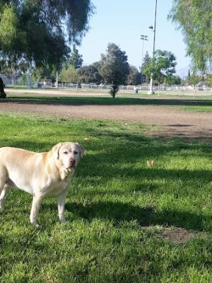 Branford Park