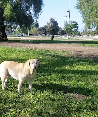 Branford Park