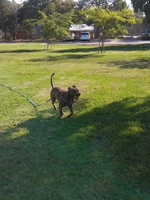 Roger Jessup Park