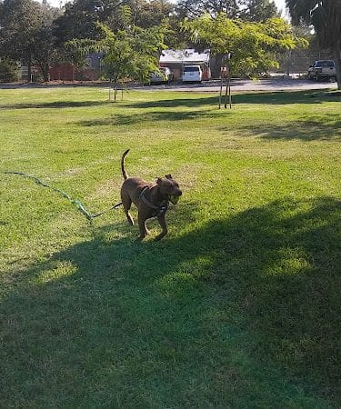Roger Jessup Park