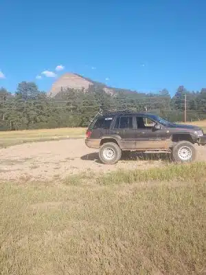 Ute Dr Park