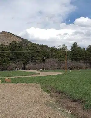 Ute Dr Park