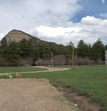 Ute Dr Park