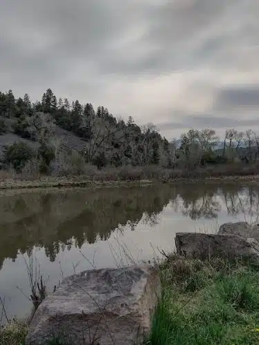 Ute Dr Park