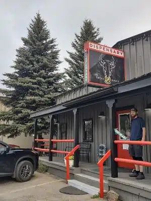 Ute Dr Park