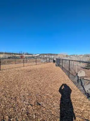 Yamaguchi Public Dog Park