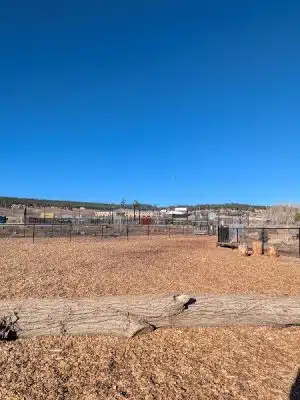 Yamaguchi Public Dog Park
