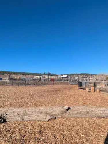 Yamaguchi Public Dog Park