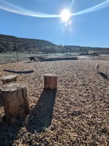 Yamaguchi Public Dog Park