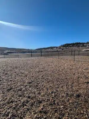 Yamaguchi Public Dog Park