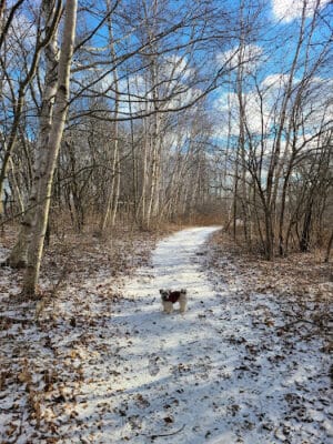Delaware Park