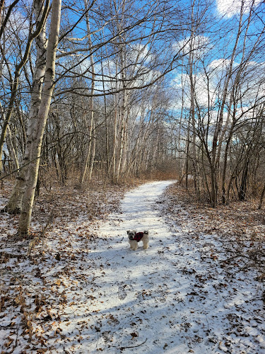 Delaware Park