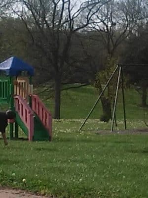 Palmyra Parks & Recreation