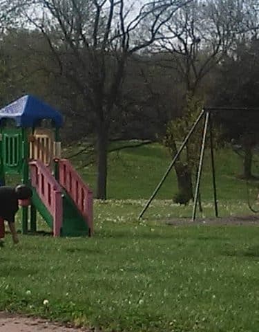 Palmyra Parks & Recreation