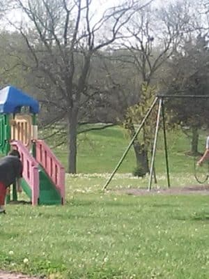 Palmyra Parks & Recreation